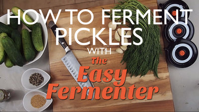 How To Make Pickles – Tips For Making The Best Fermented Pickles At Home
