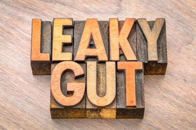 Understanding "Leaky Gut": Separating Myths From Facts